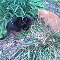 Nancy Blaylock Photo 7