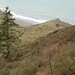 David Fleener Photo 6