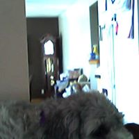 Molly Leblanc Photo 27