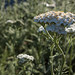 Gale Gray Photo 26