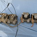 Lester Weber Photo 16