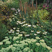 Richard Mackay Photo 16