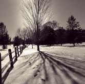 Kay Gardner Photo 4