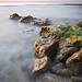 David Singh Photo 28