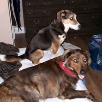 Andrea Brewer Photo 35
