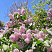 Kelley Bush Photo 11