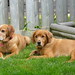 Kelli Riley Photo 16