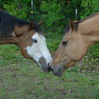 Mary Boudreau Photo 29