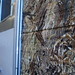 Debra Bozeman Photo 2