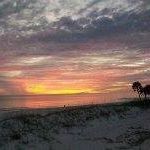 Claire Cappio Photo 2