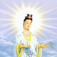 Man Trinh Photo 8