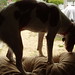 Jodie Couch Photo 5