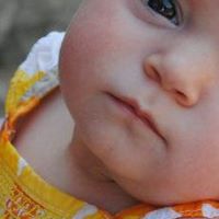 Beth Stein Photo 33