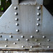 Virginia Shaffer Photo 18