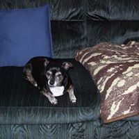 Barbara Pinder Photo 7