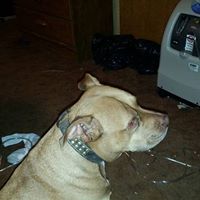 Shirley Simmons Photo 31