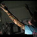 Megan Lloyd Photo 6