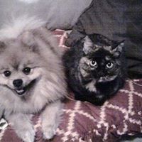 Myra Johnson Photo 11