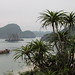 Lan Ha Photo 13
