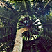 Diego Garcia Photo 40