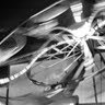 Bruce Brown Photo 42