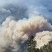 Michael Shepp Photo 10