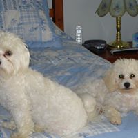 Susan Pardue Photo 22