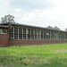 Lowndes Robinson Photo 7