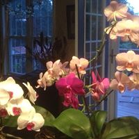 Donna Snyder Photo 19