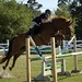 Alexis Mitchell Photo 17