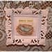 Robin Frame Photo 21