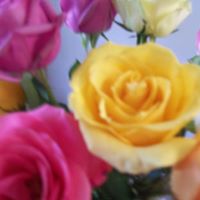 Marie Welch Photo 15