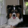 Jennifer Staver Photo 9