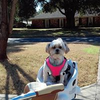 Sherry Barnett Photo 23