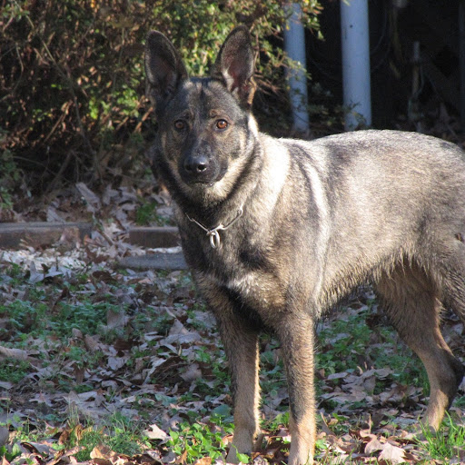 Cindy Simmons Photo 39