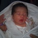 Elizabeth Varela Photo 16