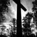 Anne Cross Photo 34