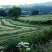 Dawn Carr Photo 19
