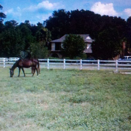 Donald Roberson Photo 10