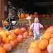Julia Mills Photo 10