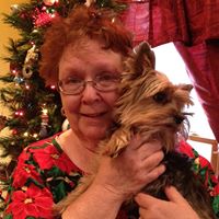Jane Carr Photo 12