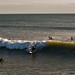 Don Nutter Photo 5
