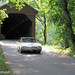 Carolyn Meeks Photo 12