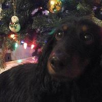 Dave Hooper Photo 42