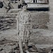 Marie Robertson Photo 16