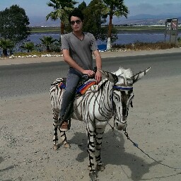 Gustavo Montalvo Photo 17