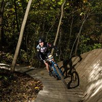 Andrea Lehr Photo 16