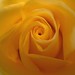 Dannie Rose Photo 7
