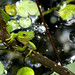 Georgia Green Photo 39