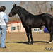 Janet Sharpe Photo 10